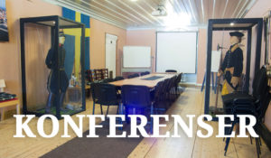 Conferences at Carlsten